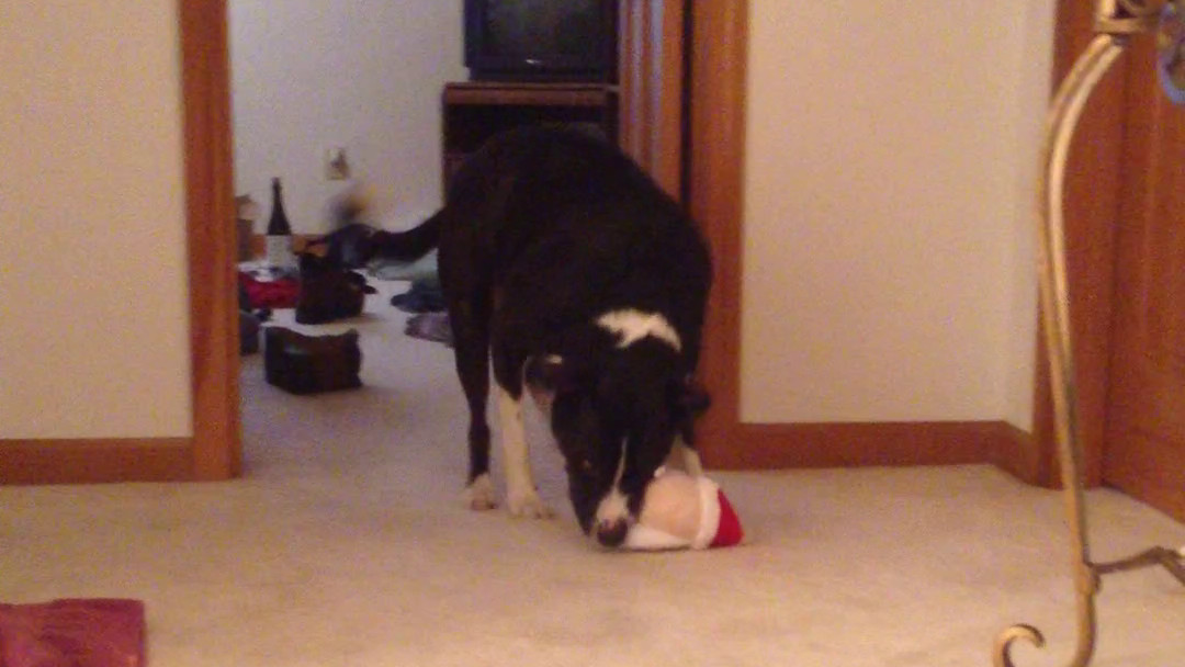 Poor Santa